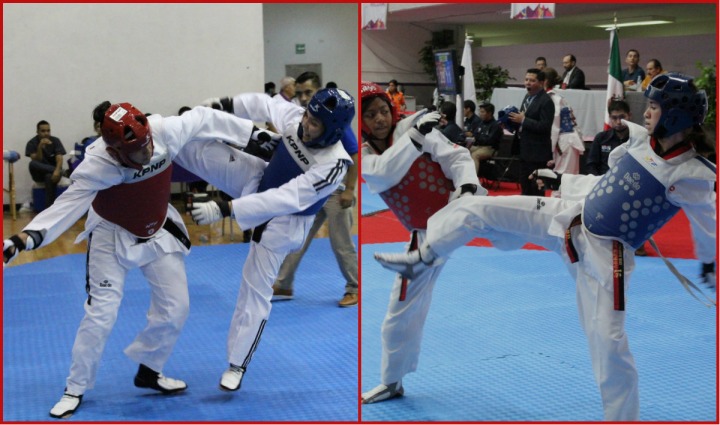 Con qué frecuencia Inactivo Hombre rico En México se utilizan los petos Daedo y KPNP, marcas oficiales de la World  Taekwondo