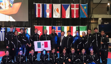 Terminó la participación de México en el Mundial