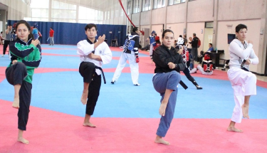 Definido el equipo que competirá en el Campeonato Mundial de Poomsae Virtual